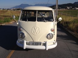 VW Panorama Bus Standard 1974 - SOLD