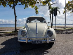 VW Fusca 1961/1961 - SOLD