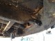 VW Panorama Bus Standard 1975